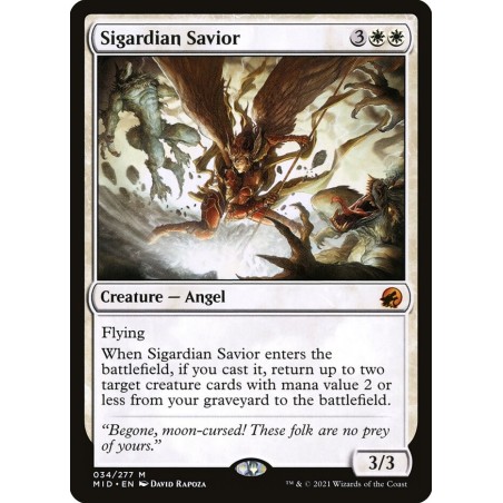 Sigardian Savior // Salvadora sigardiana