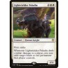Lightwielder Paladin // Paladín Portador de Luz