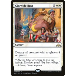 Citywide Bust // Redada en la ciudad