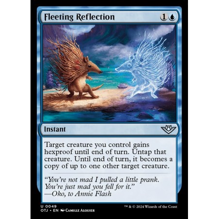 Fleeting Reflection // Reflejo fugaz
