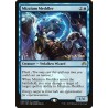 Mizzium Meddler // Entrometido de mízzium (Release) (F)
