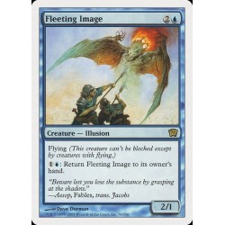 Fleeting Image // Imagen efímera