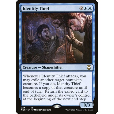 Identity Thief // Suplantador de identidad