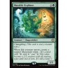 Mutable Explorer // Excursionista mutable (PP)