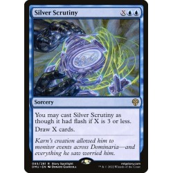 Silver Scrutiny // Escrutinio de plata