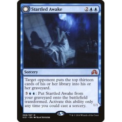 Startled Awake // Despertar súbito