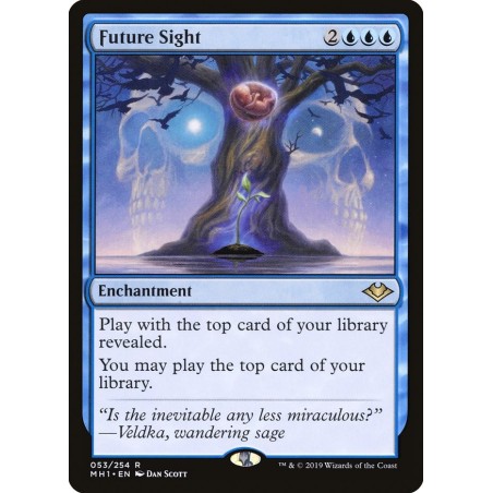 Future Sight // Visión del futuro