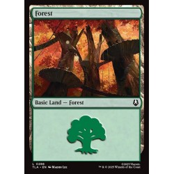 Forest // Bosque (Variedades)