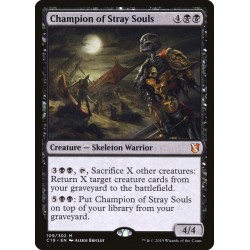 Champion of Stray Souls // Campeón de las almas descarriadas