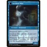 Elusive Tormentor // Atormentadora escurridiza (Buy a Box) (F)