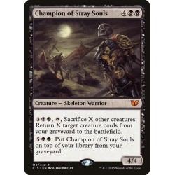 Champion of Stray Souls // Campeón de las almas descarriadas
