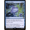 Silver Scrutiny // Escrutinio de plata (PP)