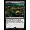 Pox Plague // Epidemia virulenta (PP) (F)