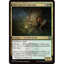 Old-Growth Educator // Maestro de la espesura antigua