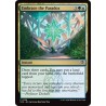 Embrace the Paradox // Aceptar la paradoja (F)