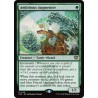 Ambitious Augmenter // Aumentador ambicioso (P)