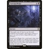 Coveted Prize // Recompensa codiciada