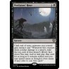 Predators' Hour // Hora de los depredadores
