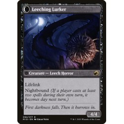 Curse of Leeches // Maldición de las sanguijuelas