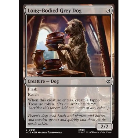 Long-Bodied Grey Dog // Perro grande de pelambre gris