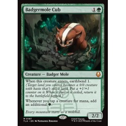 Badgermole Cub // Cría de tejón topo