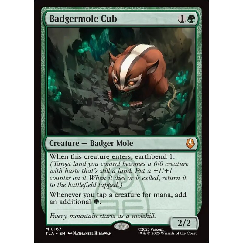 Badgermole Cub // Cría de tejón topo