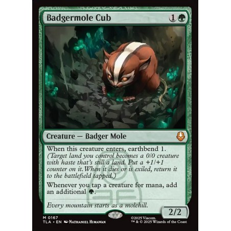 Badgermole Cub // Cría de tejón topo
