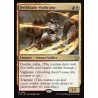 Swiftblade Vindicator // Defensora filoveloz